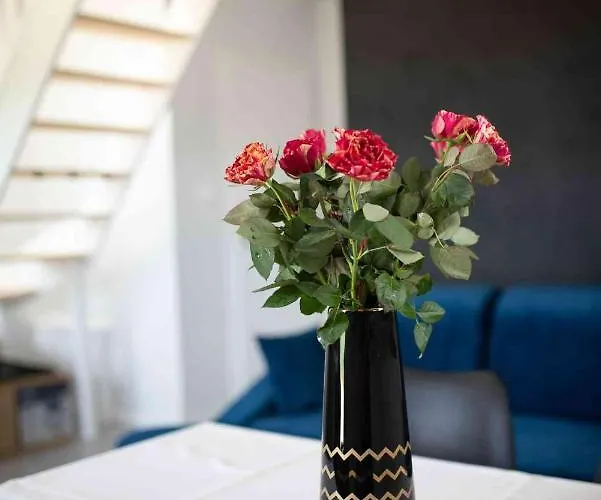 Bed & Breakfast Kaszuby Zacisze Chmielno